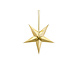 Gouden Lampion Ster 30cm Gouden Lampion Ster 30cm