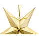 Gouden Lampion Ster 30cm Gouden Lampion Ster 30cm