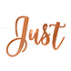 Bruiloft Slinger Just Married 77cm Bruiloft Slinger Just Married 77cm
