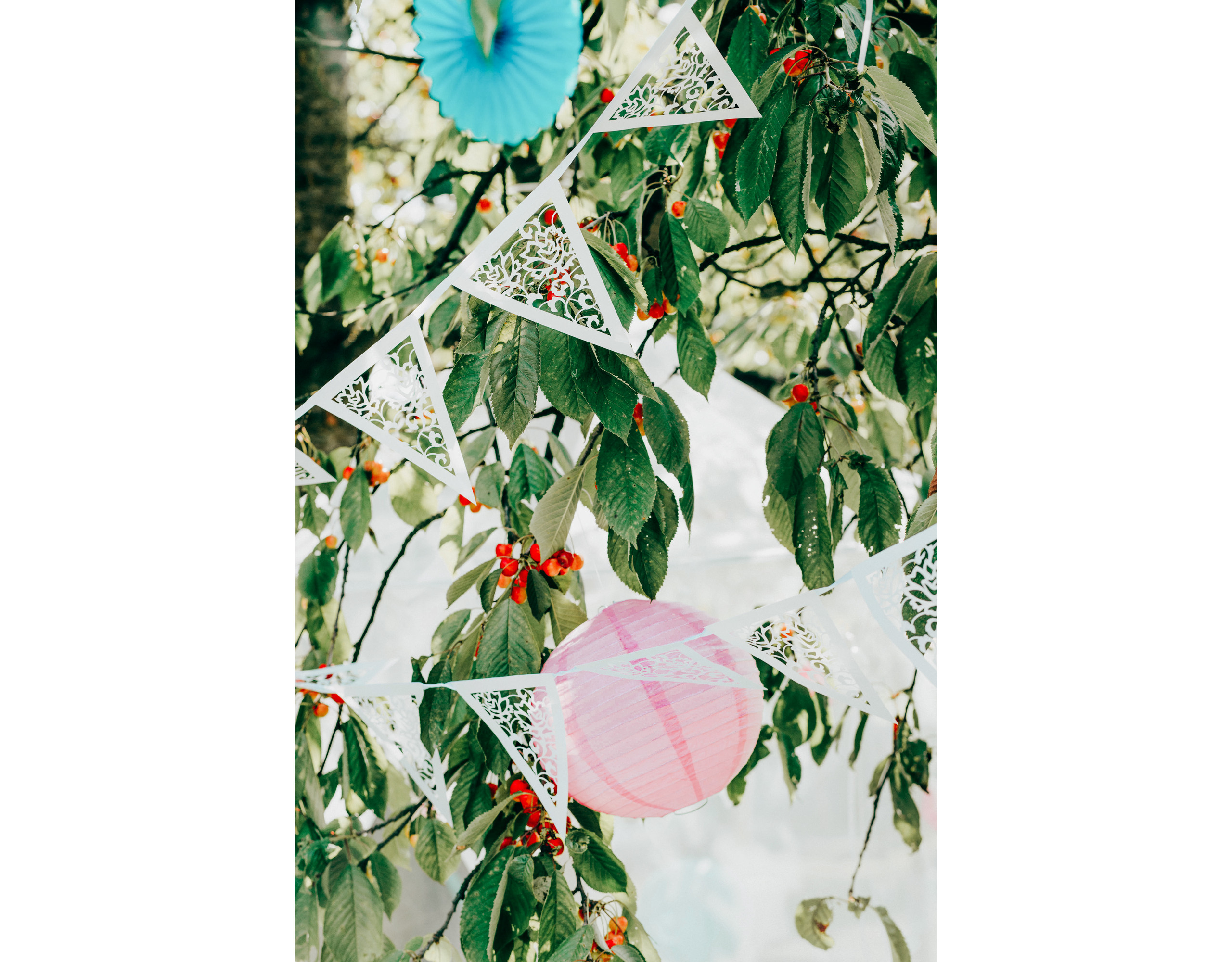 Witte Slingers Doorzichtig 3m Partywinkel