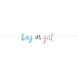 Gender Reveal Slinger Boy Or Girl 2,13m Gender Reveal Slinger Boy Or Girl 2,13m