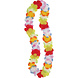 Hawaii Krans Bloemen Gekleurd Hawaii Krans Bloemen Gekleurd