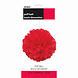 Pompon Rood 40cm Pompon Rood 40cm