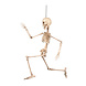 Halloween Skelet 50cm Halloween Skelet 50cm