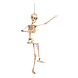 Halloween Skelet 50cm Halloween Skelet 50cm