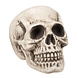 Halloween Schedel 31cm Halloween Schedel 31cm