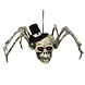 Halloween Pop Spin 29cm Halloween Pop Spin 29cm