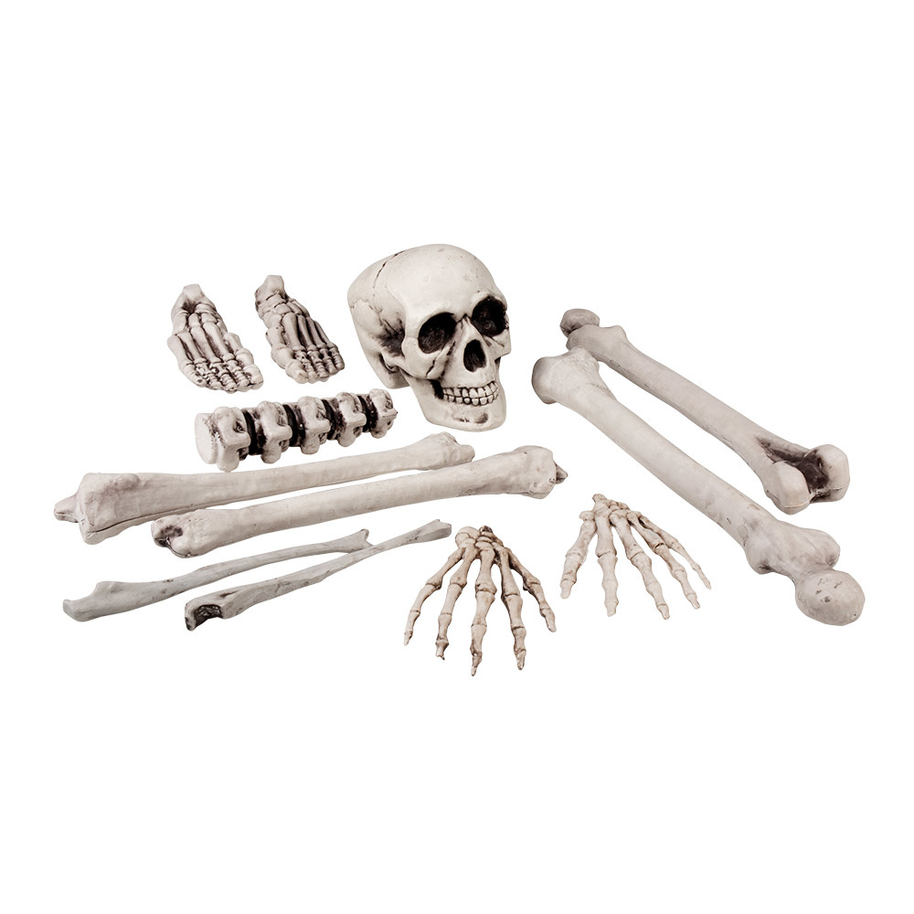Kaal Tien jaar lint Halloween Skeletten kopen - Partywinkel