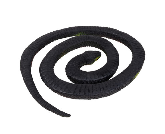 Halloween Python 75cm - Partywinkel