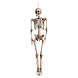 Halloween Pop Skelet 160cm Halloween Pop Skelet 160cm