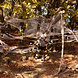 Halloween Spinnenrag Set 26 delig Halloween Spinnenrag Set 26 delig