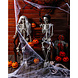 Halloween Spinnenrag Set 26 delig Halloween Spinnenrag Set 26 delig