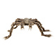 Halloween Harige Spin 70cm Halloween Harige Spin 70cm