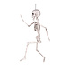 Halloween Pop Skelet Beweegbaar 60cm Halloween Pop Skelet Beweegbaar 60cm