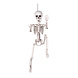 Halloween Pop Skelet Beweegbaar 60cm Halloween Pop Skelet Beweegbaar 60cm