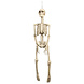 Halloween Pop Skelet 92cm Halloween Pop Skelet 92cm