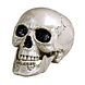 Halloween Schedel Beweegbare Kaak Halloween Schedel Beweegbare Kaak