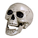 Halloween Schedel Beweegbare Kaak Halloween Schedel Beweegbare Kaak
