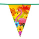 Hawaii Vlaggenlijn 6m Hawaii Vlaggenlijn 6m