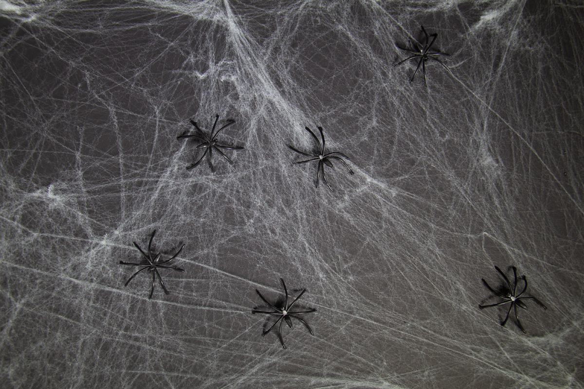 Halloween spinnen en spinnenwebben kopen Partywinkel