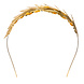 Tiara Lauwerkrans Tiara Lauwerkrans