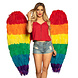 Engelenvleugels Regenboog 1,2m Engelenvleugels Regenboog 1,2m