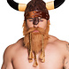 Baard Viking Baard Viking