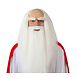 Gandalf Lord Of The Rings Pruik Wit Gandalf Lord Of The Rings Pruik Wit