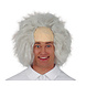 Halloween Pruik Wetenschapper Halloween Pruik Wetenschapper