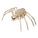 Halloween Tarantula Skelet 35x20cm Halloween Tarantula Skelet 35x20cm