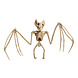 Halloween Vleermuis Skelet 30x16cm Halloween Vleermuis Skelet 30x16cm