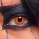 Halloween Weeklenzen Pompoen Halloween Weeklenzen Pompoen