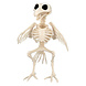 Halloween Vogelskelet 20cm Halloween Vogelskelet 20cm