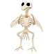 Halloween Vogelskelet 20cm Halloween Vogelskelet 20cm