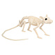 Halloween Ratskelet 46cm Halloween Ratskelet 46cm