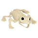 Halloween Kikker Skelet 17cm Halloween Kikker Skelet 17cm