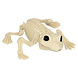 Halloween Kikker Skelet 17cm Halloween Kikker Skelet 17cm