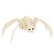 Halloween Spin Skelet 35cm Halloween Spin Skelet 35cm