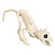 Halloween Kattenskelet 51cm Halloween Kattenskelet 51cm
