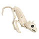 Halloween Kattenskelet 51cm Halloween Kattenskelet 51cm