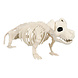 Halloween Hondenskelet 52cm Halloween Hondenskelet 52cm