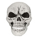Halloween Skelet Schedel En Armen Halloween Skelet Schedel En Armen