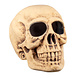 Halloween Schedel Masterbrain 47cm Halloween Schedel Masterbrain 47cm