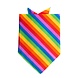 Bandana Regenboog 55cm Bandana Regenboog 55cm