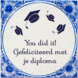 Tegels delfts blauw Geslaagd You did it 15cm Tegels delfts blauw Geslaagd You did it 15cm