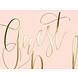 Gastenboek Roze 24,5cm Gastenboek Roze 24,5cm