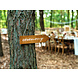 Hangbord Ceremony 36cm Hangbord Ceremony 36cm