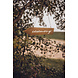 Hangbord Kids Only 36cm Hangbord Kids Only 36cm