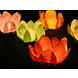 Drijvende Lantaarns Gekleurd 29cm 6st Drijvende Lantaarns Gekleurd 29cm 6st