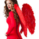 Engelen Vleugels Rood 65cm Engelen Vleugels Rood 65cm
